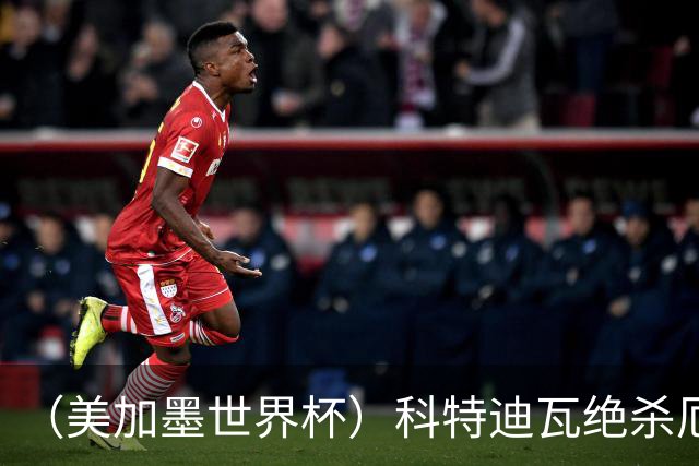 （美加墨世界杯）科特迪瓦绝杀厄瓜多尔 瑞典5:1大胜突尼斯