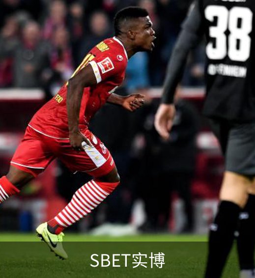 SBET实博介绍
